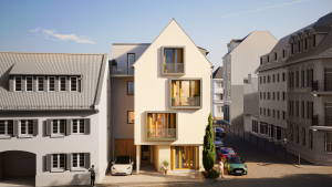 251021_Heidelberg_Neuenheim_Frontal_2