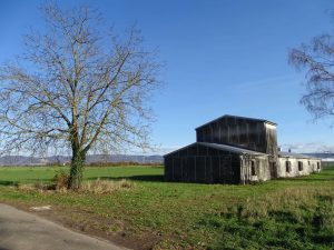 21. November 2025 Schweinestall mit Grundstück  zu verkaufen002